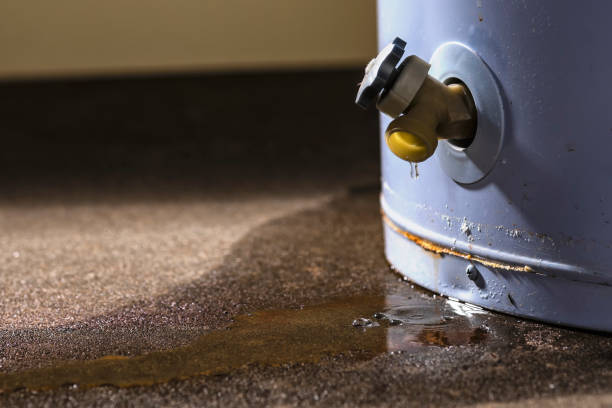 Best Flooded house restoration  in Nampa, ID