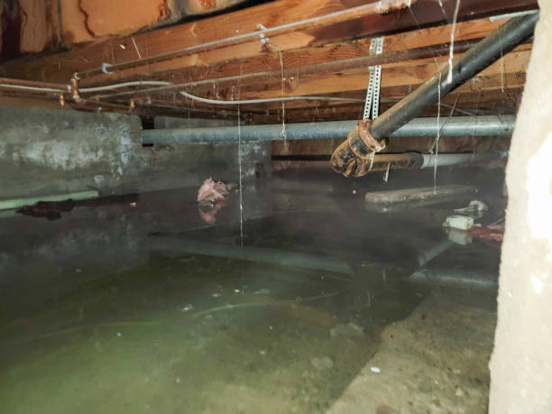 Best Residential water damage restoration  in Nampa, ID