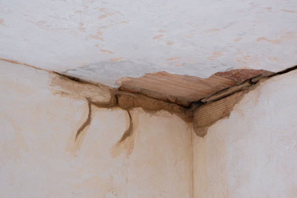 Best Emergency water damage restoration  in Nampa, ID