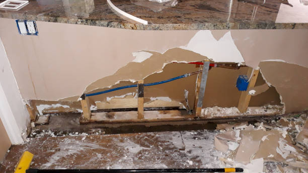 Best Professional water damage repair  in Nampa, ID