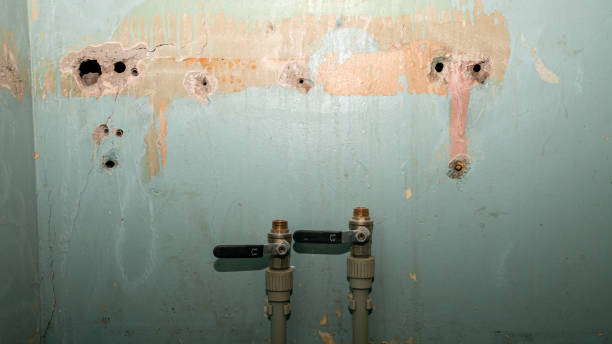 Best Flood damage cleanup  in Nampa, ID